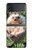 S3863 ピグミー ハリネズミ ドワーフ ハリネズミ ペイント Pygmy Hedgehog Dwarf Hedgehog Paint Samsung Galaxy Z Flip 4 バックケース、フリップケース・カバー
