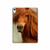 S1595 美しいブラウン馬 Beautiful Brown Horse iPad 10.9 (2025,2022) タブレットケース