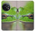 S3845 緑のカエル Green frog OnePlus 11 バックケース、フリップケース・カバー