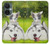 S3795 不機嫌子猫遊び心シベリアンハスキー犬ペイント Kitten Cat Playful Siberian Husky Dog Paint OnePlus Nord CE 3 Lite, Nord N30 5G バックケース、フリップケース・カバー