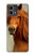 S1595 美しいブラウン馬 Beautiful Brown Horse Motorola Moto G Stylus 5G (2023) バックケース、フリップケース・カバー