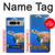 S3898 ウミガメ Sea Turtle Google Pixel Fold バックケース、フリップケース・カバー