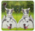 S3795 不機嫌子猫遊び心シベリアンハスキー犬ペイント Kitten Cat Playful Siberian Husky Dog Paint Samsung Galaxy Xcover7 バックケース、フリップケース・カバー