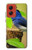 S3839 幸福の青い 鳥青い鳥 Bluebird of Happiness Blue Bird Motorola Moto G Stylus 5G (2024) バックケース、フリップケース・カバー