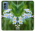 S1818 私を忘れないでください Forget Me Not Motorola Moto G Play 4G (2024) バックケース、フリップケース・カバー
