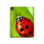 S0892 天道虫 Ladybug iPad Pro 13 (2024,2025), Air 13 2026 タブレットケース