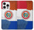 S3017 パラグアイの旗 Paraguay Flag iPhone 16 pro バックケース、フリップケース・カバー