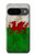 S2976 ウェールズサッカー Wales Football Soccer Red Dragon Flag Google Pixel 9 バックケース、フリップケース・カバー