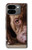 S0519 ピットブルの顔 PitBull Face Google Pixel 9 Pro Fold バックケース、フリップケース・カバー