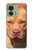 S2903 アメリカンピットブル American Pitbull Dog Motorola Edge (2023), Edge 40 バックケース、フリップケース・カバー