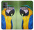 S3888 コンゴウインコの顔の鳥 Macaw Face Bird Motorola Moto G14 バックケース、フリップケース・カバー