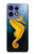 S2444 タツノオトシゴ 深い青色の海 Seahorse Underwater World Motorola Edge 50 Pro バックケース、フリップケース・カバー