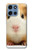 S1619 可愛いモルモット Cute Guinea Pig Motorola Moto G 5G (2025) バックケース、フリップケース・カバー
