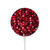 S3757 ザクロ Pomegranate iPhone 16 15 14 13 12用MagSafe 15W対応磁気ワイヤレス充電パッド