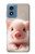 S3979 かわいい赤ちゃんブタ Cute Baby Pig Motorola Moto G Play 4G (2024) バックケース、フリップケース・カバー S3979 かわいい赤ちゃんブタ Cute Baby Pig Motorola Moto G Play 4G (2024) バックケース、フリップケース・カバー