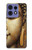 S4022 黄金の仏顔 ヴィンテージ Vintage Buddha Face Golden Style Motorola Edge 50 Pro バックケース、フリップケース・カバー S4022 黄金の仏顔 ヴィンテージ Vintage Buddha Face Golden Style Motorola Edge 50 Pro バックケース、フリップケース・カバー