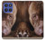 S0519 ピットブルの顔 PitBull Face Motorola Moto G Stylus 5G (2025,2026), Edge 60 Stylus バックケース、フリップケース・カバー