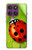 S0892 天道虫 Ladybug Motorola Edge 60 Pro バックケース、フリップケース・カバー