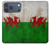 S2976 ウェールズサッカー Wales Football Soccer Red Dragon Flag iPhone 17 Pro Max バックケース、フリップケース・カバー