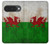 S2976 ウェールズサッカー Wales Football Soccer Red Dragon Flag Google Pixel 10, 10 Pro バックケース、フリップケース・カバー