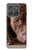 S0519 ピットブルの顔 PitBull Face Motorola Edge (2025) バックケース、フリップケース・カバー