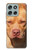 S2903 アメリカンピットブル American Pitbull Dog Motorola Moto G56 バックケース、フリップケース・カバー