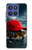 S4056 マダガスカルのカメの赤い帽子 Madagascar Turtle Red Cap Motorola Moto G Stylus 5G (2025,2026), Edge 60 Stylus バックケース、フリップケース・カバー