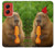 S4068 カピバラ蝶 Capybara Butterfly Motorola Moto G Stylus 5G (2024) バックケース、フリップケース・カバー