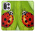 S0892 天道虫 Ladybug OnePlus 15 バックケース、フリップケース・カバー