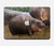S4031 赤ちゃんカバ Baby Hippo Hippopotamus Family MacBook Pro Retina 13″ - A1425, A1502 ケース・カバー