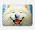 S4064 笑顔の犬 ゴッホの星月夜 Smile Dog Van Gogh Starry Night MacBook Pro 14 M1-M5 A2442,A2779,A2992,A2918,A3112,A3185,A3401,A3434,A3112 ケース・カバー