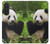 S1073 パンダは食べるのが楽しみ Panda Enjoy Eating Samsung Galaxy A27 バックケース、フリップケース・カバー