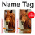 S1595 美しいブラウン馬 Beautiful Brown Horse iPhone XR バックケース、フリップケース・カバー