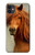 S1595 美しいブラウン馬 Beautiful Brown Horse iPhone 11 バックケース、フリップケース・カバー