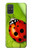 S0892 天道虫 Ladybug Samsung Galaxy A71 バックケース、フリップケース・カバー