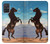 S0934 黒野生馬 Wild Black Horse Samsung Galaxy A71 5G バックケース、フリップケース・カバー
