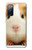 S1619 可愛いモルモット Cute Guinea Pig Samsung Galaxy S20 FE バックケース、フリップケース・カバー