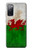 S2976 ウェールズサッカー Wales Football Soccer Red Dragon Flag Samsung Galaxy S20 FE バックケース、フリップケース・カバー