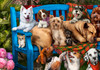 VC1231 | Dogs Galore Jigsaw Puzzle - 550 PC