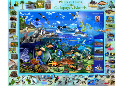 VC1109 | Galapagos Jigsaw Puzzle - 1000 PC