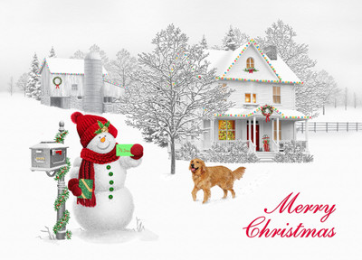 BMS008 | Box Happy Snowman Christmas Cards
