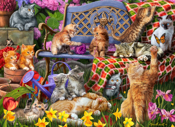 VC1253 | Cats Galore Jigsaw Puzzle - 550 PC