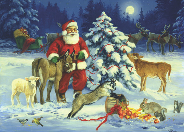 BLPFON | Box Forest Noel Christmas Cards