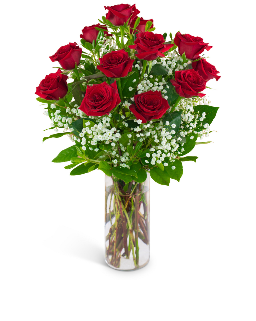 Dozen Red Roses and a Million Stars - Abbott Florist