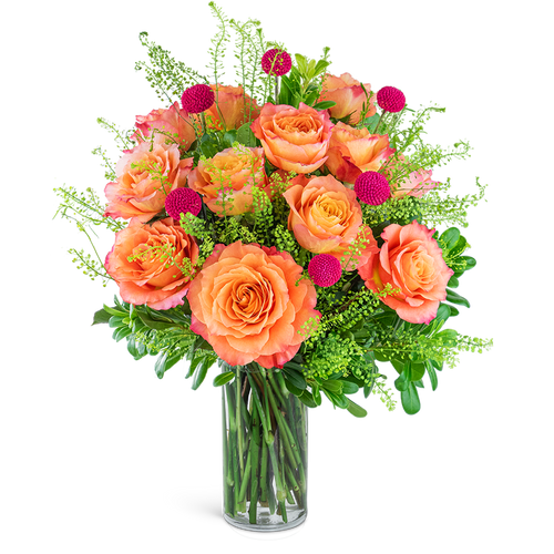 One Dozen Wild and Free Spirit Roses