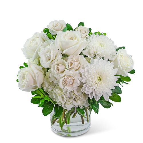 Vogue Elegance Vogue Elegance