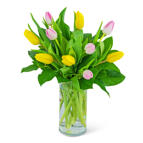 Strawberry Lemonade Tulips