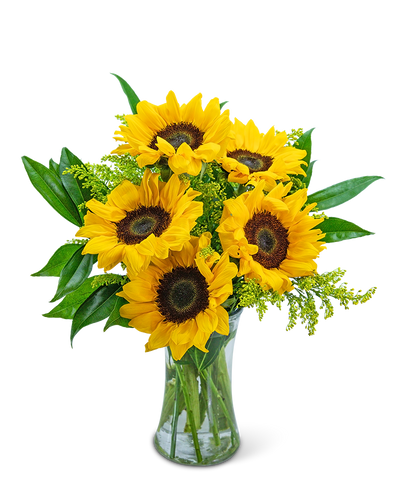 Sprinkle of Sunflowers