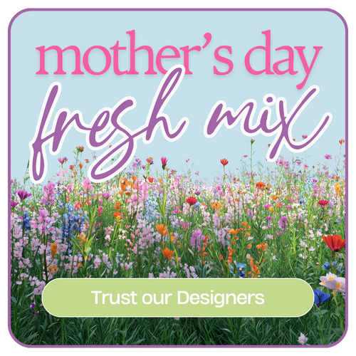 Designer's Choice Mother's Day Arrangement