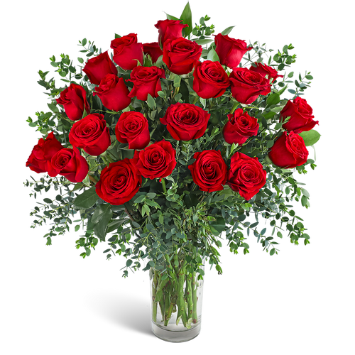 Two Dozen Red Hot Roses